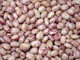 حبوبات-چیتی